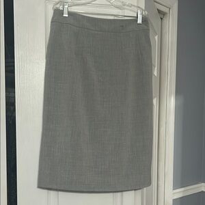 Elegant Gray Women's Skirt